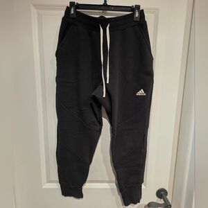 Mens Adidas Sweatpant, Medium
